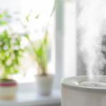 水垢やカビ、嫌な臭いを防ぐ！　加湿器の掃除方法をチェック